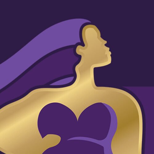 Voluptuous Lady Boutique Portfolio Header