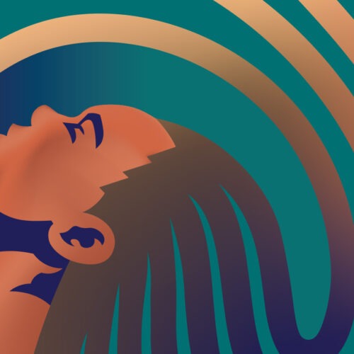 Moisture Fields Portfolio Header